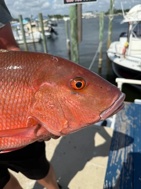 Fishing in Panama City Beach, Florida
