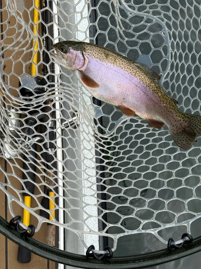 Fishing in Heber Springs, Arkansas