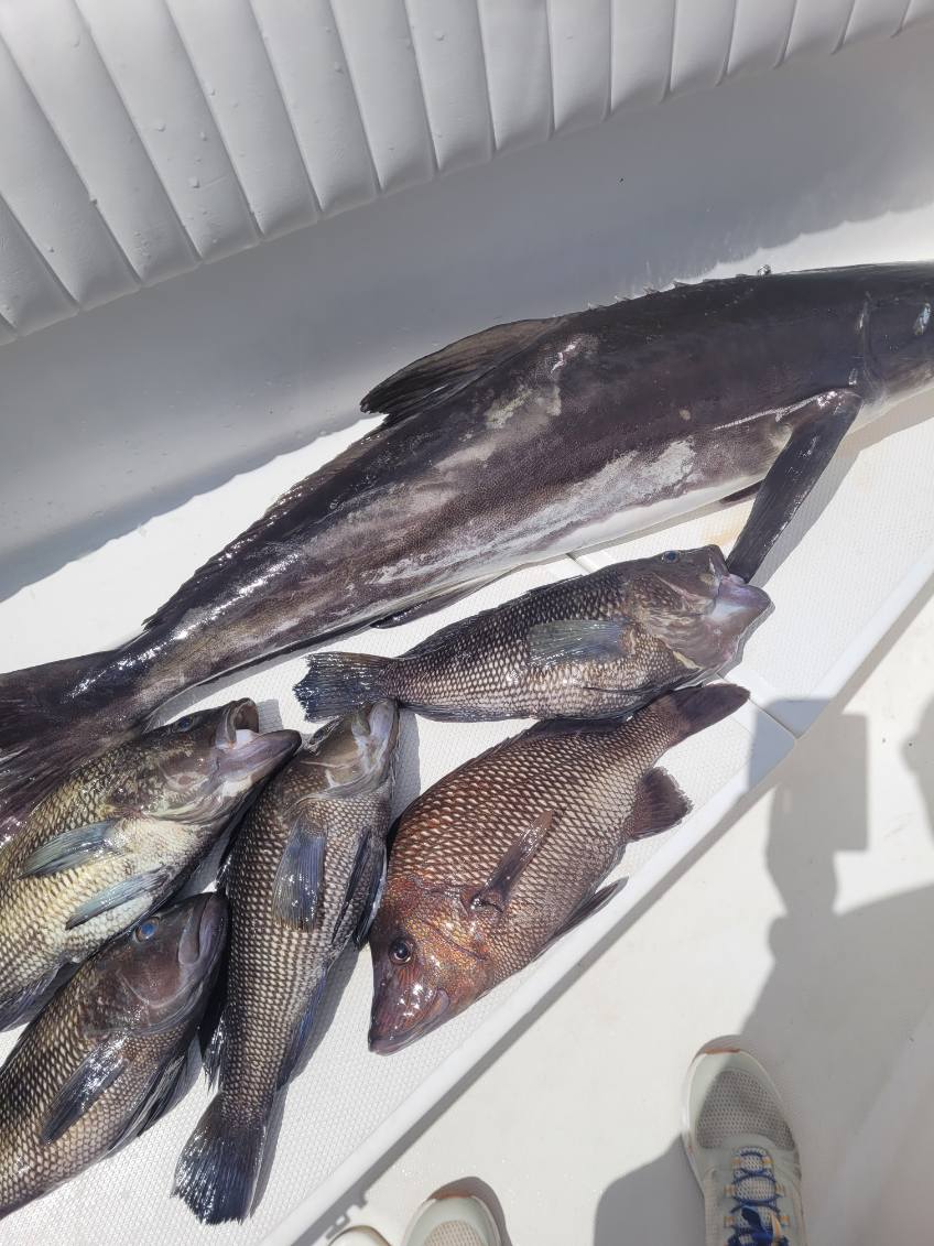 Fishing in Wrightsville Beach, North Carolina