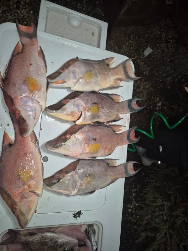 Fishing in St. Petersburg, Florida