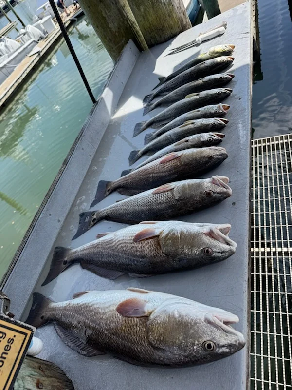 Fishing in St. Augustine, Florida