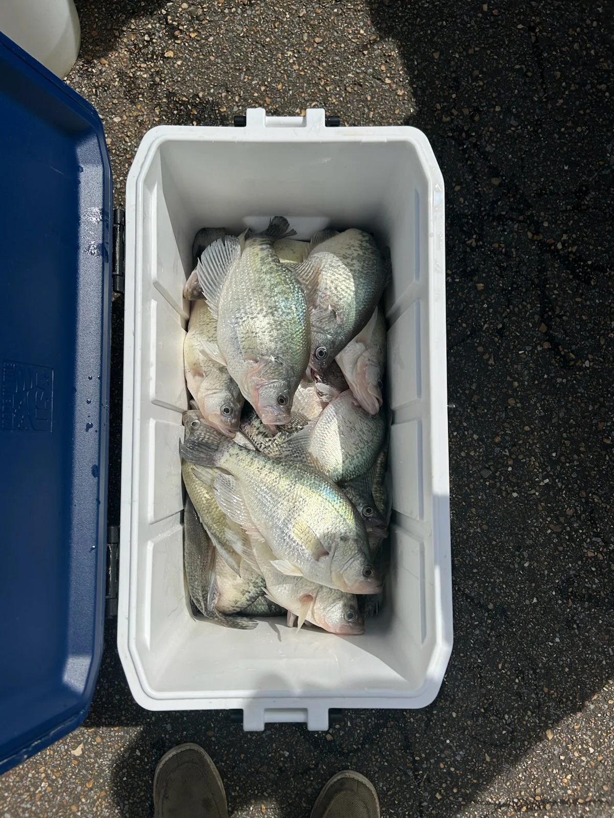 Fishing in Vernon, Alabama