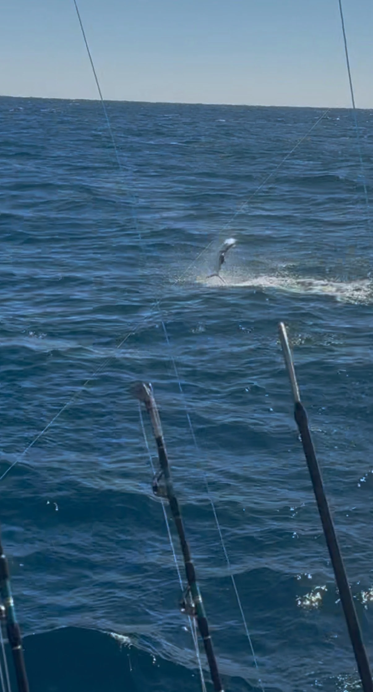 Fishing in Riviera Beach, Florida