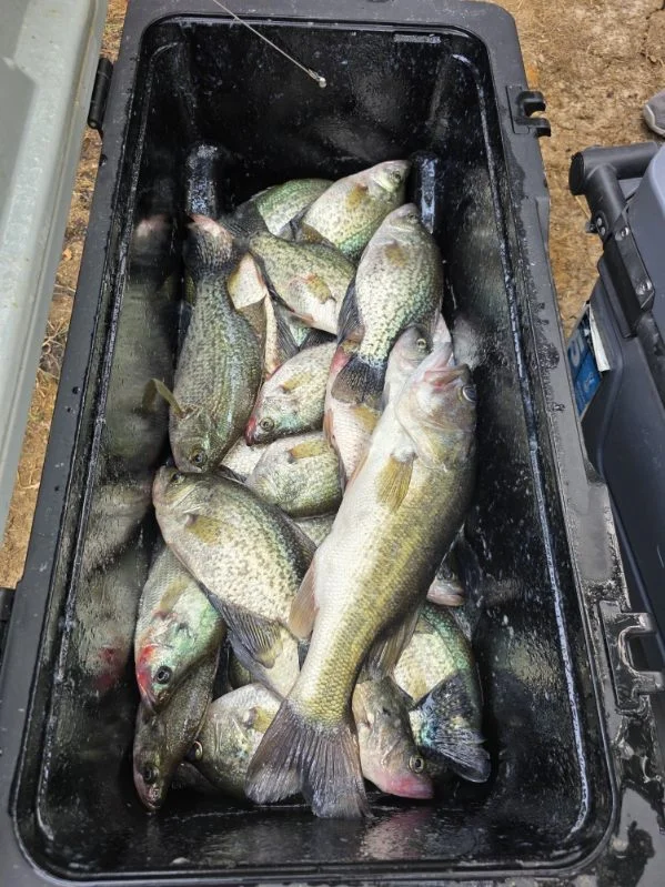 Fishing in Zavalla, Texas