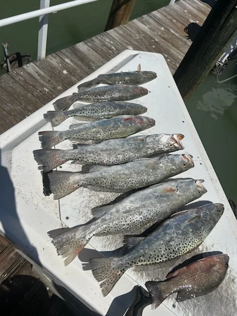 Fishing in Marco Island, Florida