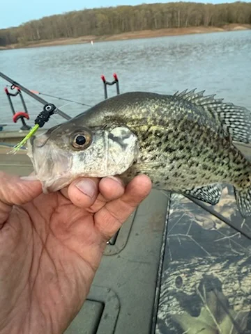 Fishing in Saint Charles, Missouri