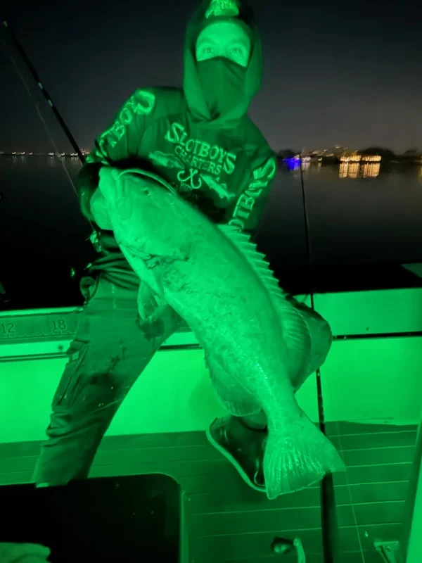 Fishing in St. Petersburg, Florida