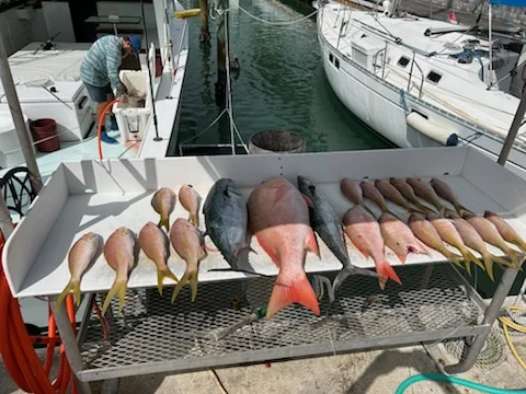 Fishing in Key West, Florida