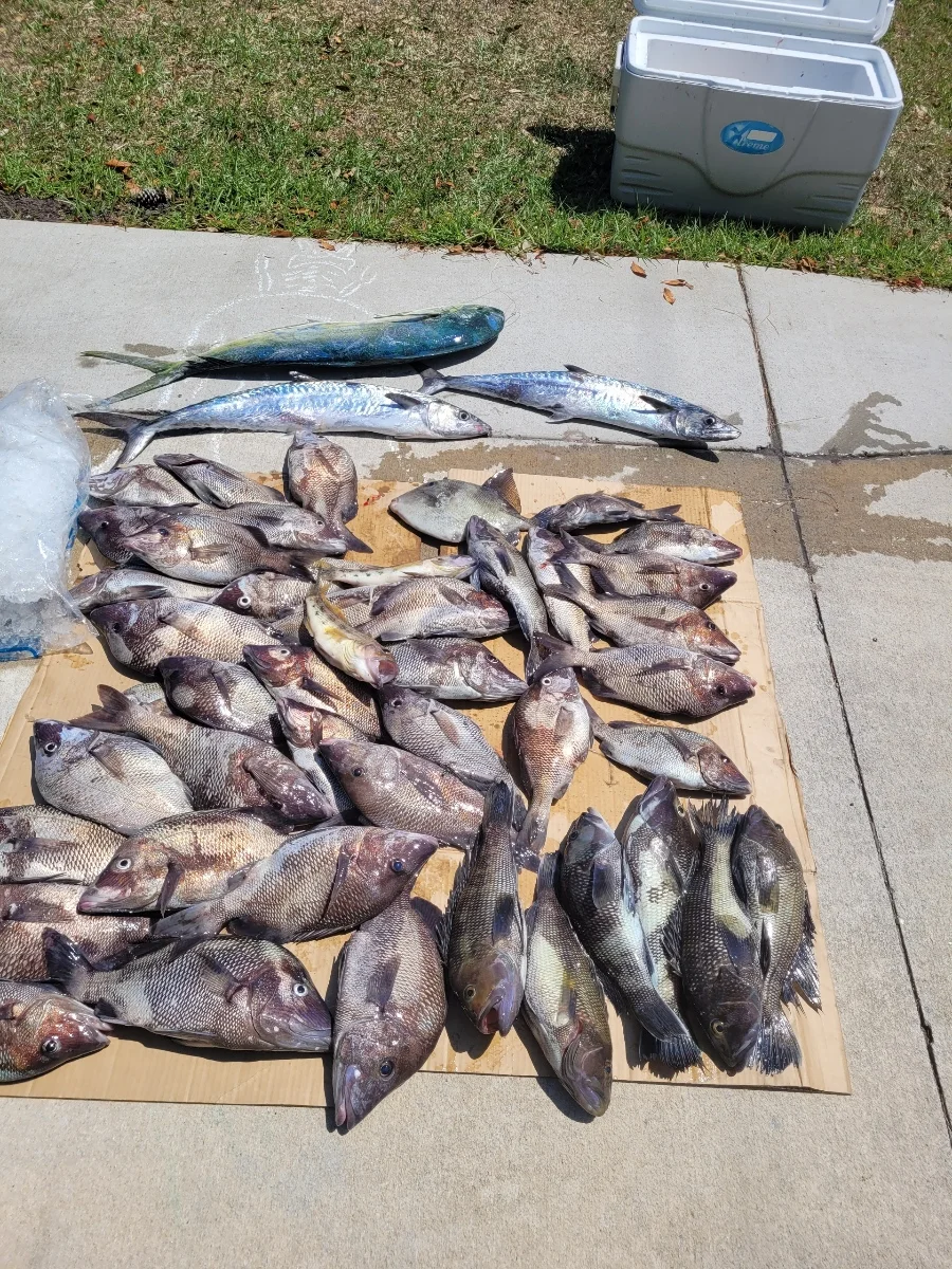Fishing in Wrightsville Beach, North Carolina