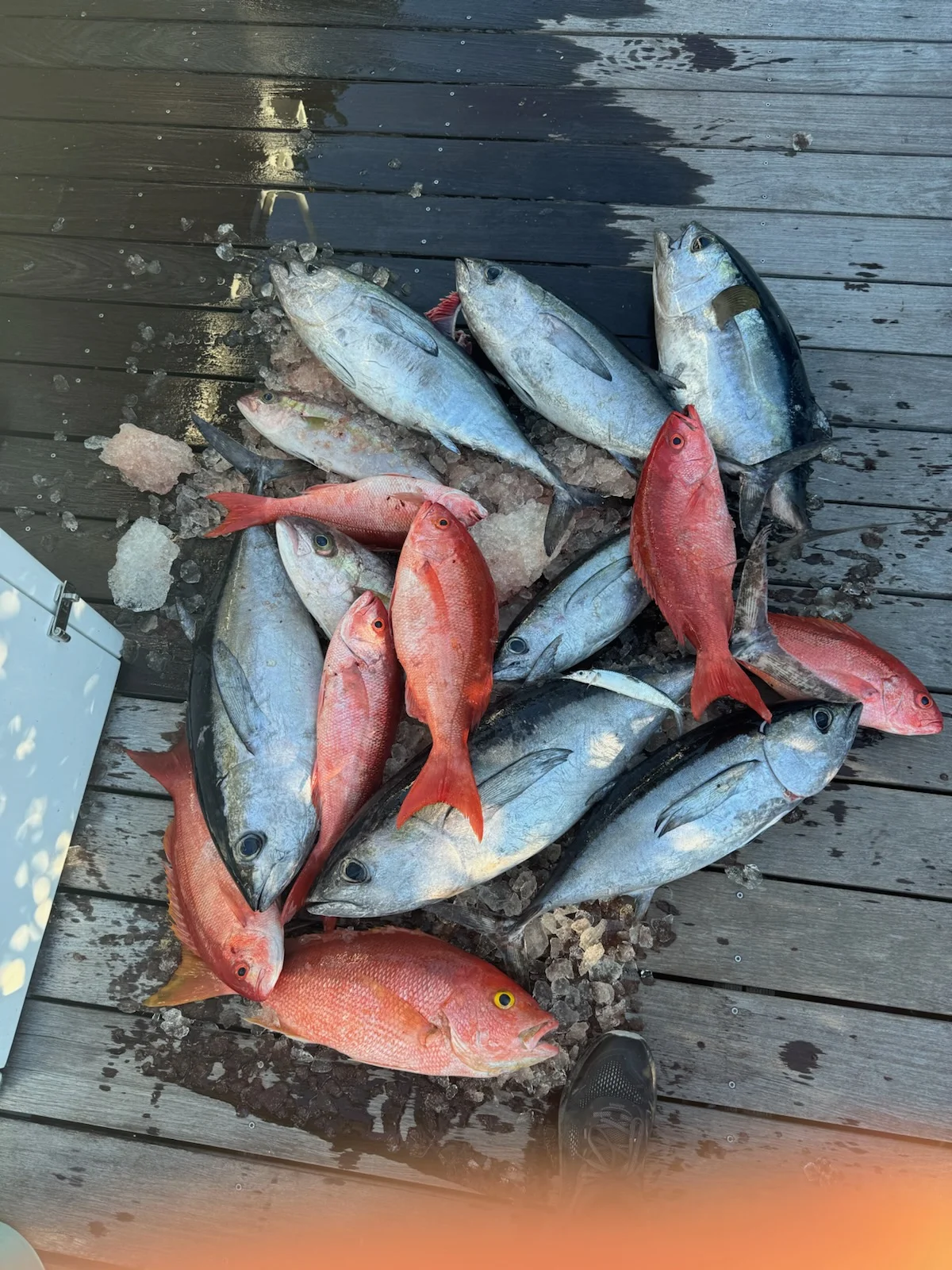 Fishing in Islamorada, Florida