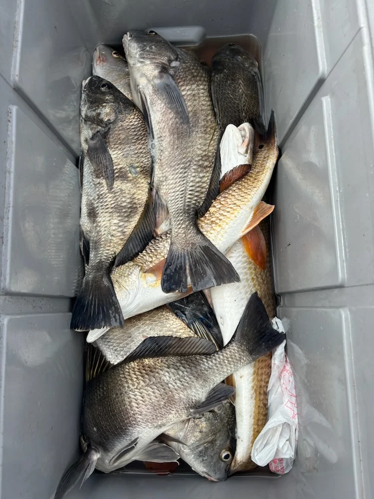 Fishing in Ingleside, Texas