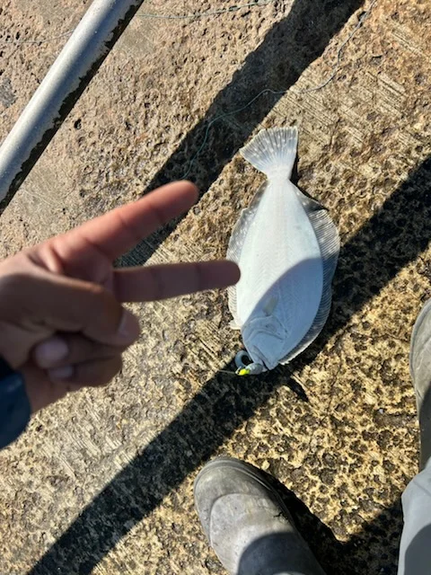 Fishing in Melbourne Beach, Florida