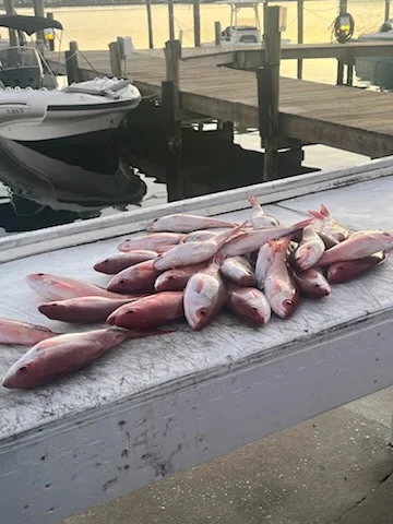 Fishing in Panama City Beach, Florida