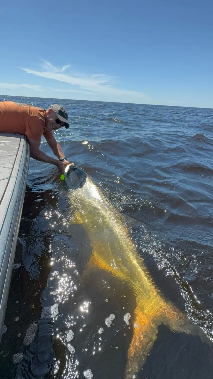 Fishing in Punta Gorda, Florida