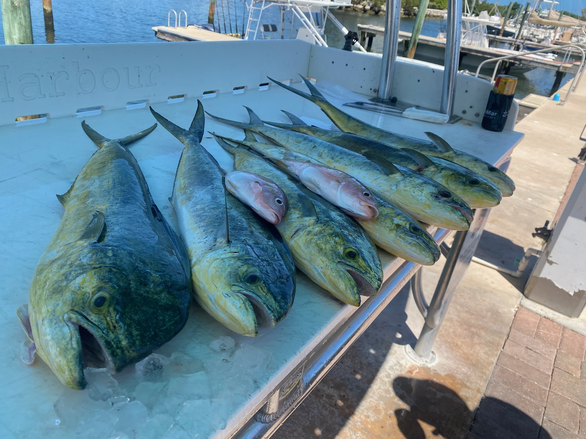 Fishing in Key West, Florida