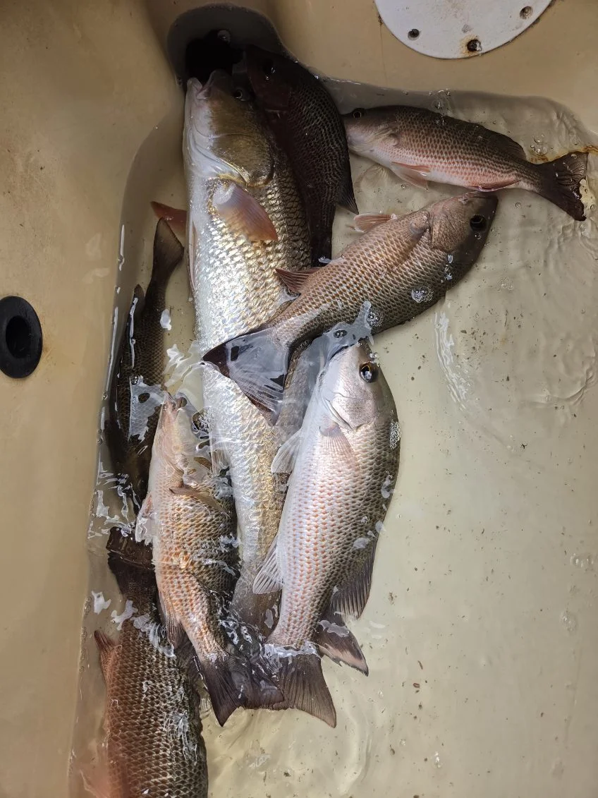 Fishing in Naples, Florida