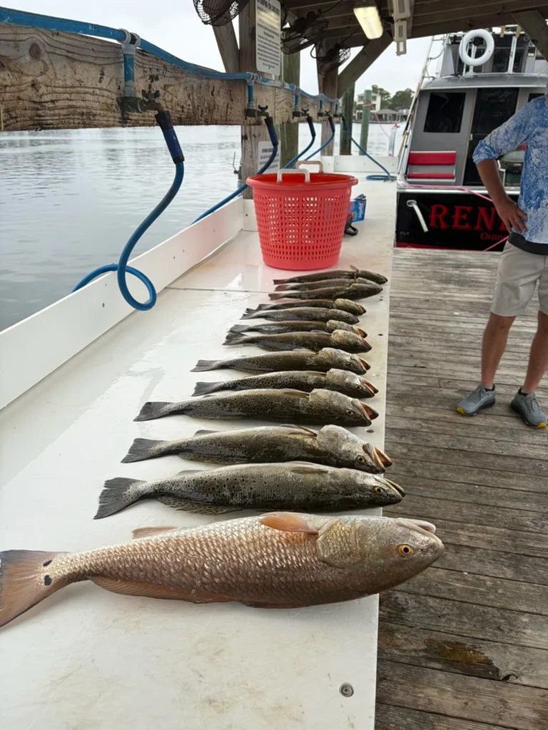 Fishing in Orange Beach, Alabama