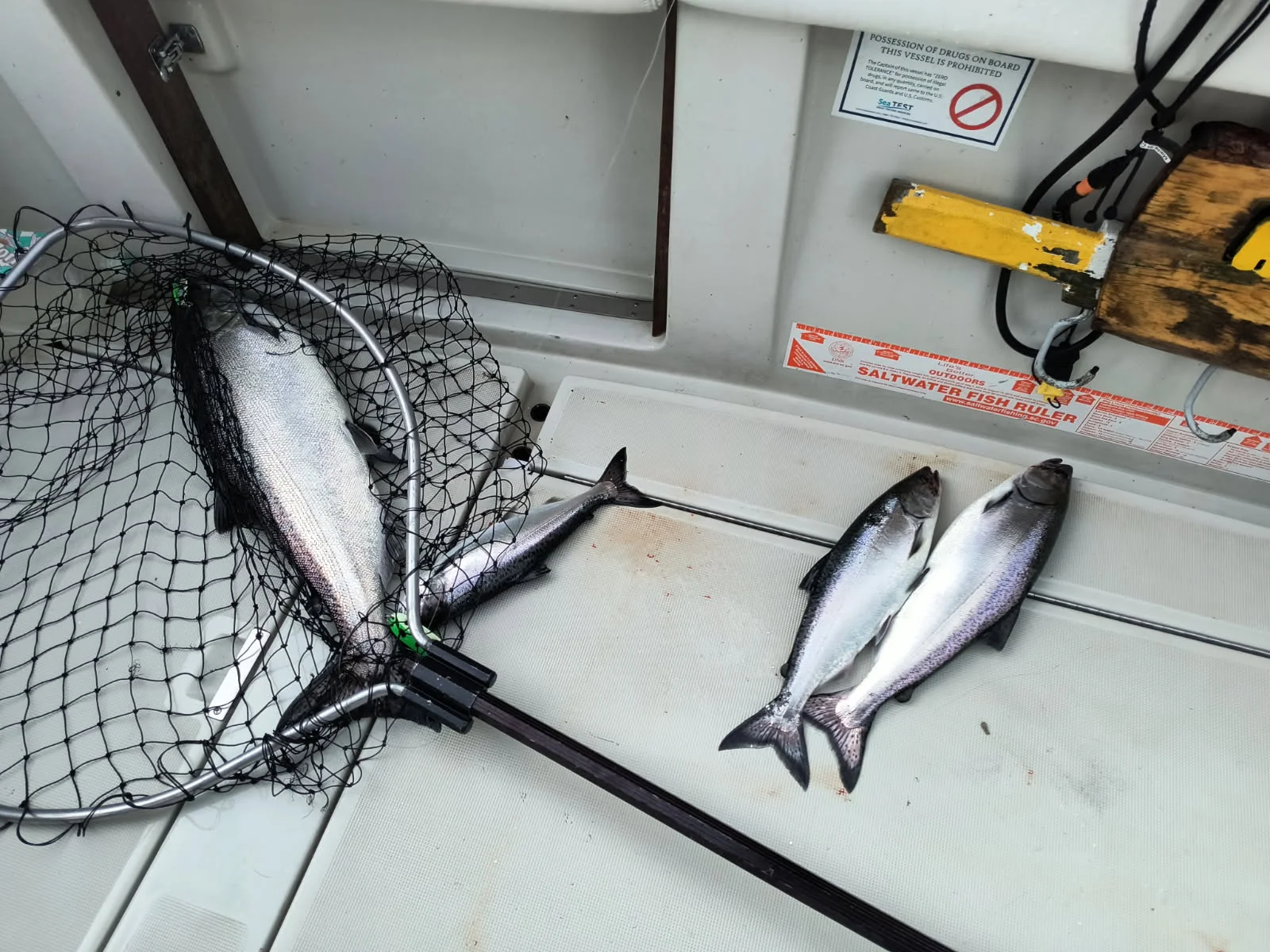 Fishing in Rochester, New York