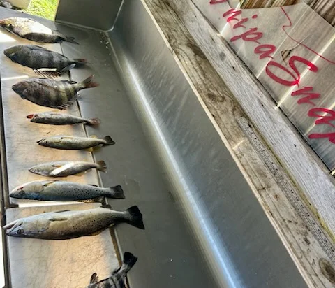 Fishing in D'Iberville, Mississippi
