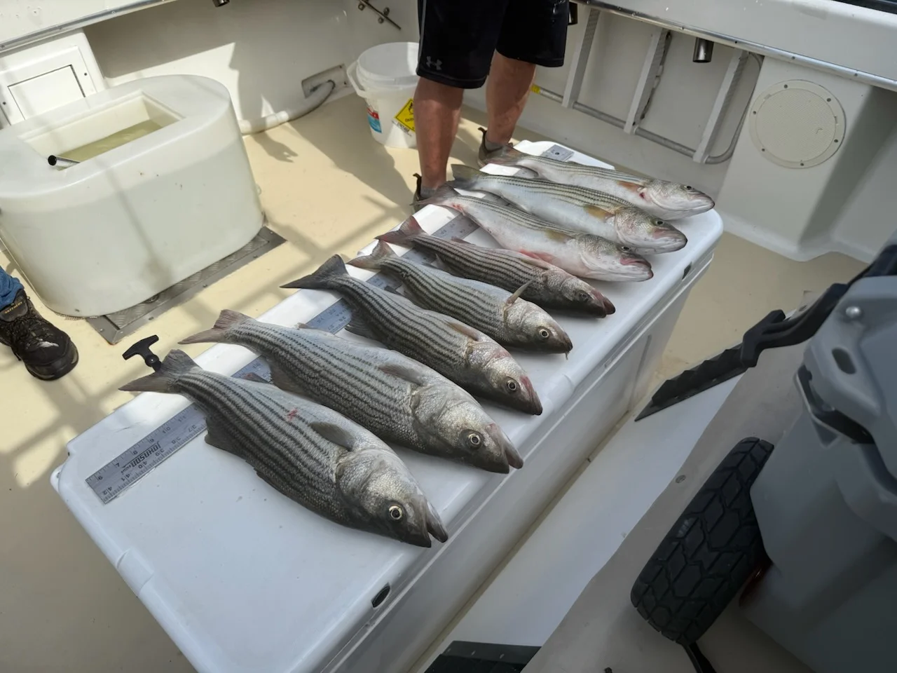 Fishing in Kent Narrows, Maryland