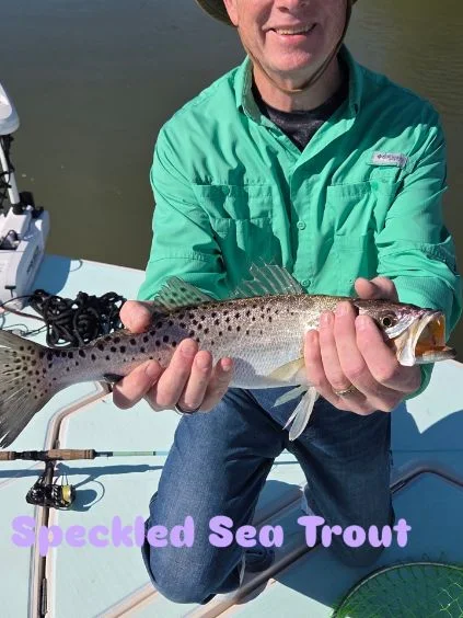 Fishing in Naples, Florida