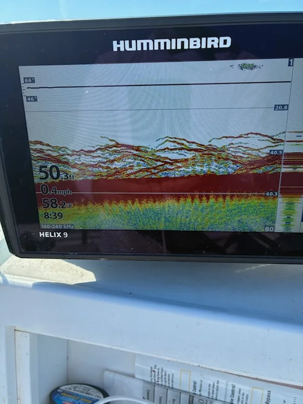Fishing in Port Jefferson, New York