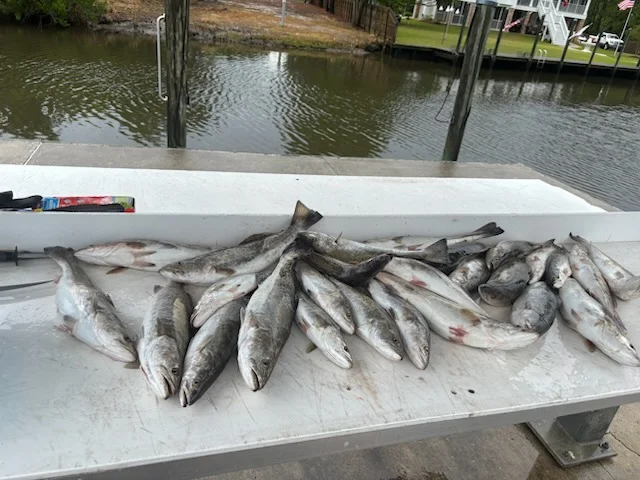 Fishing in Bay St. Louis, Mississippi