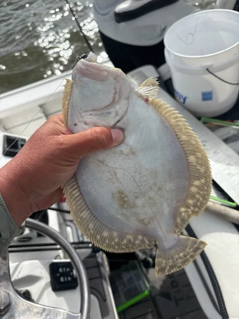 Fishing in Lake Charles, Louisiana