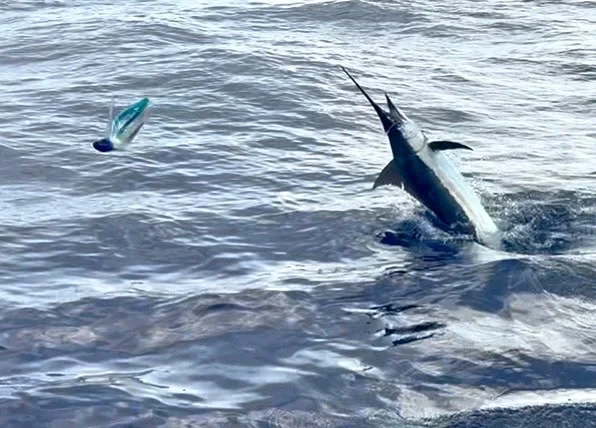 Fishing in Kaiminani, Hawaii
