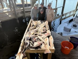 Fishing in New Orleans, Louisiana