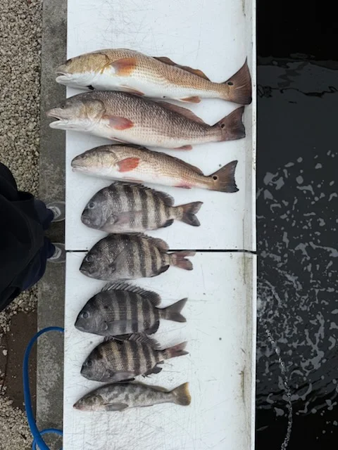 Fishing in Palm Valley, Florida