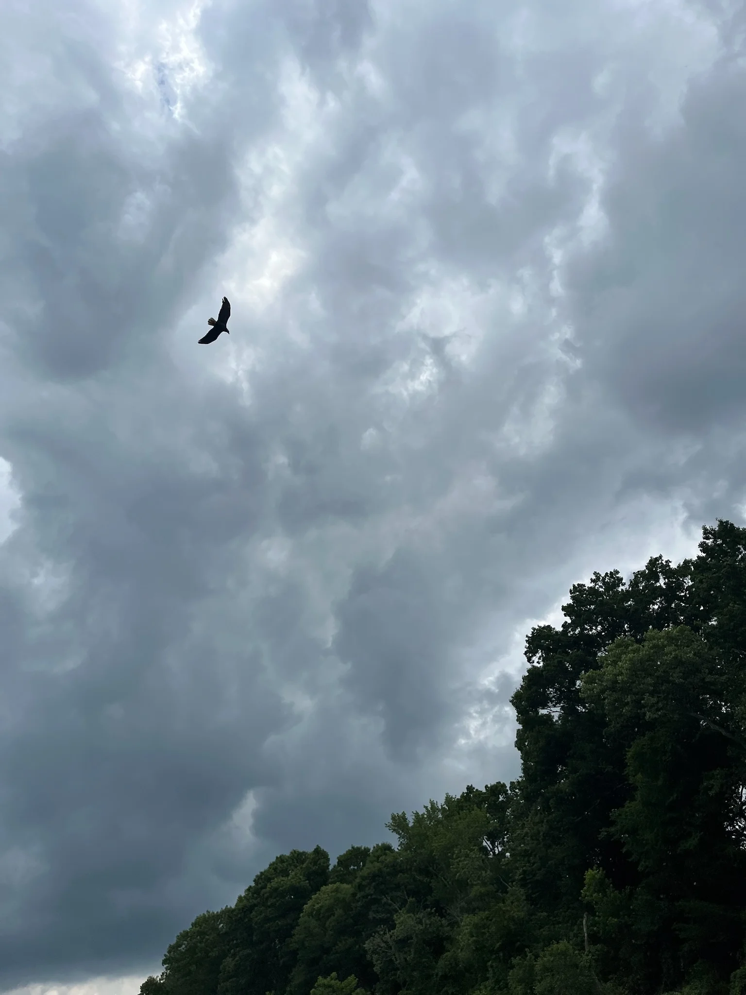 Fishing in Heber Springs, Arkansas