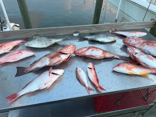 Fishing in Panama City, Florida