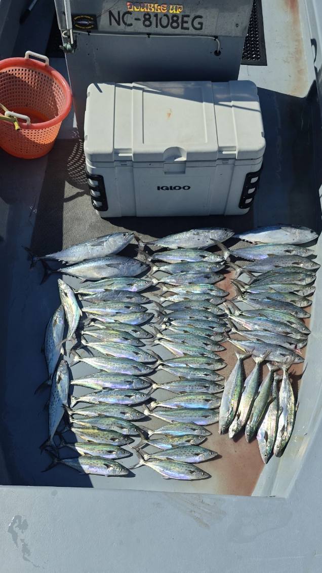 Fishing in Morehead City, North Carolina