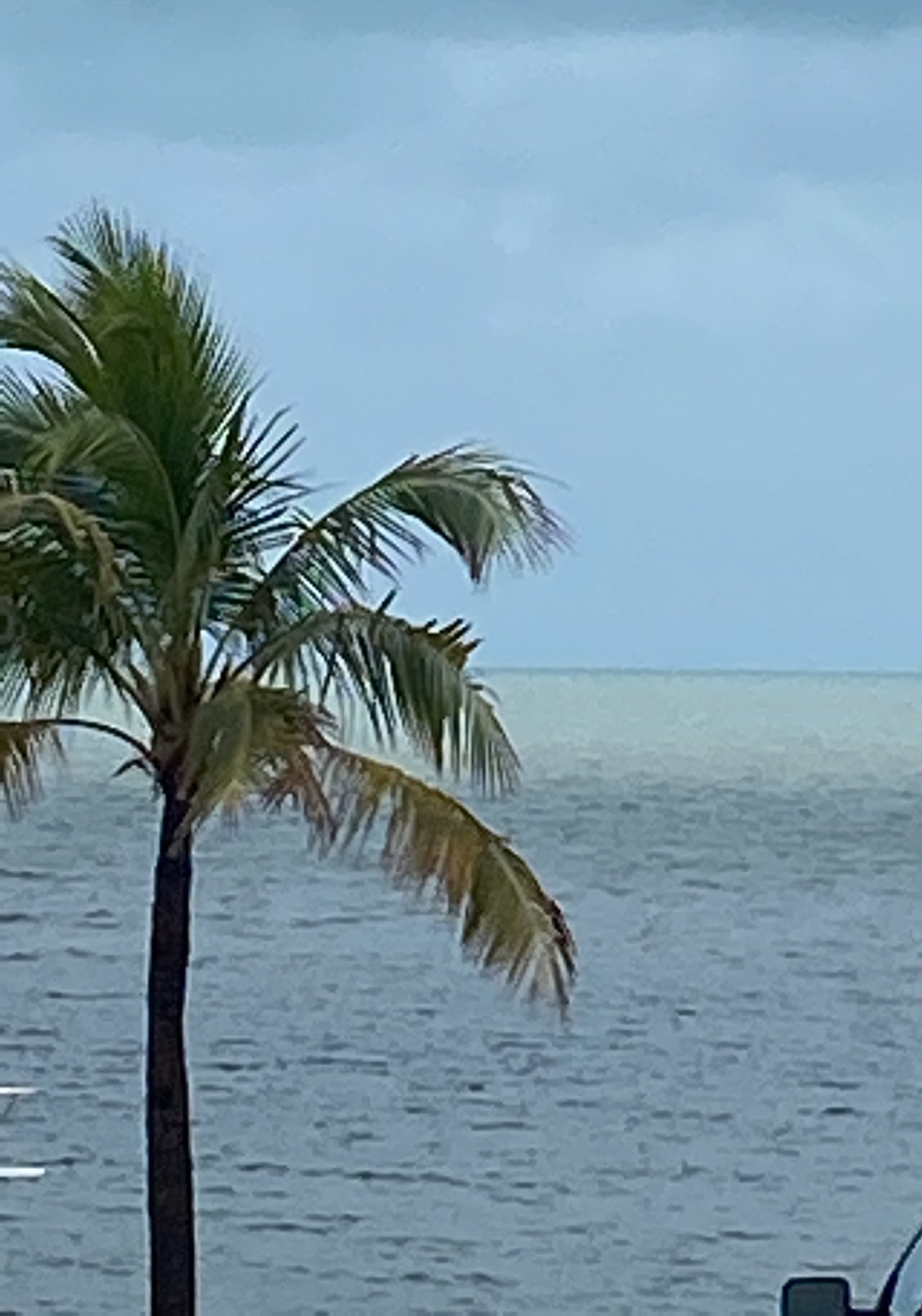 Fishing in Islamorada, Florida