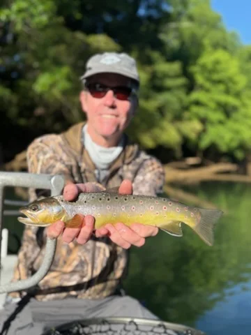 Fishing in Roswell, Georgia