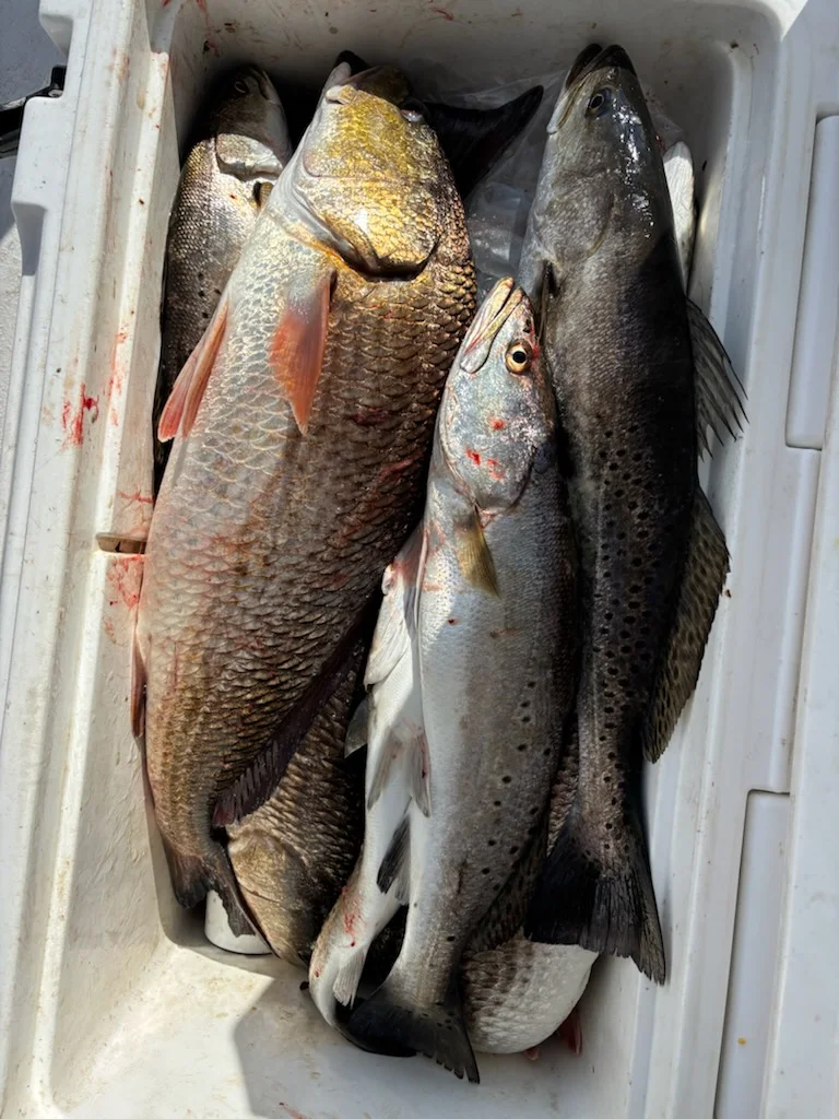 Fishing in New Orleans, Louisiana