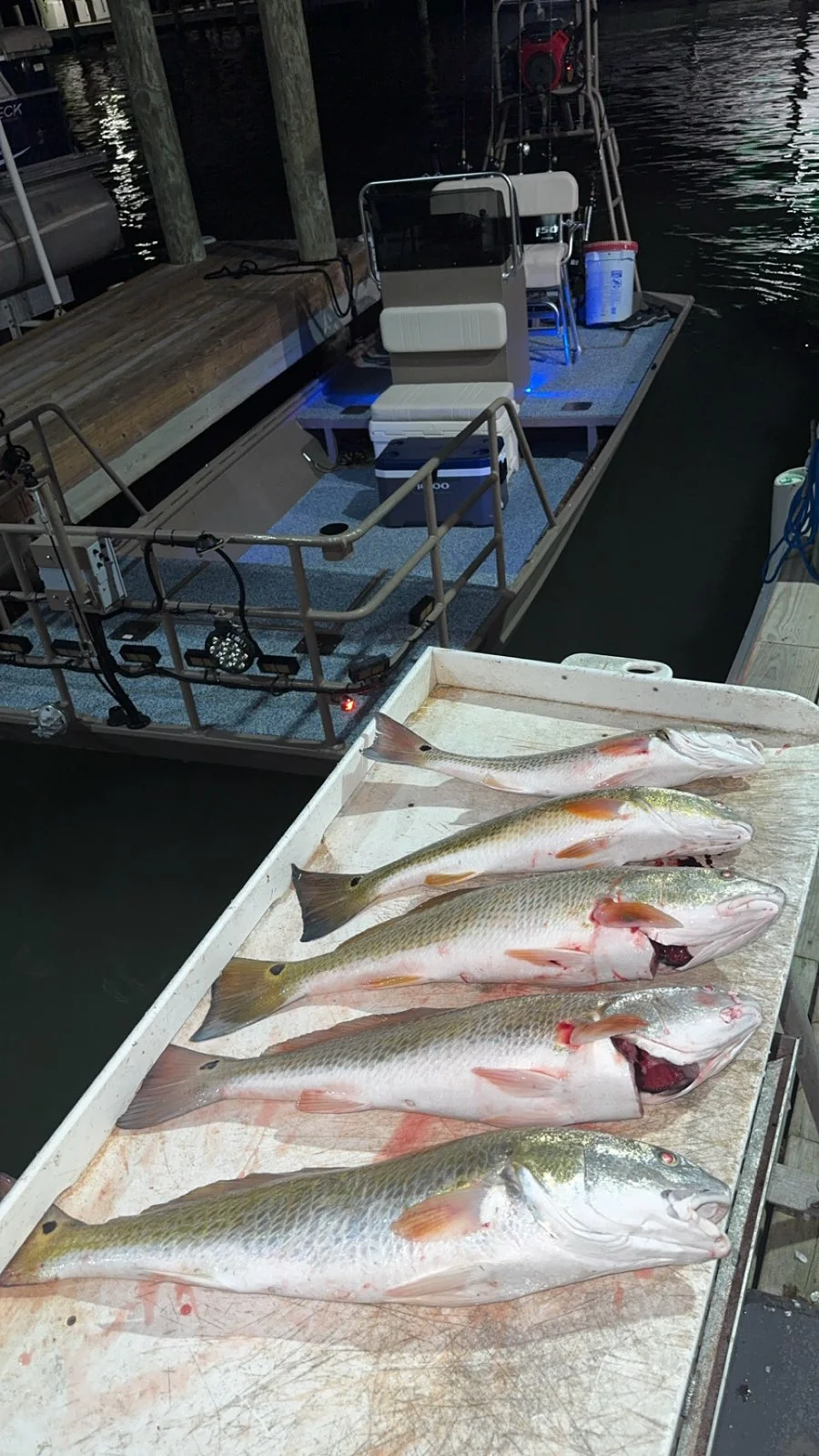 Fishing in Galveston, Texas