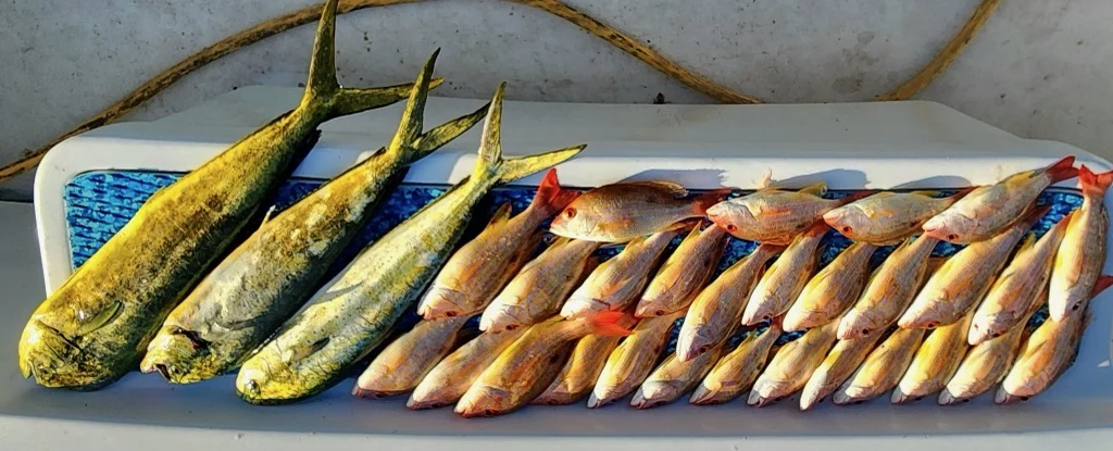 Fishing in Arcadia, Florida