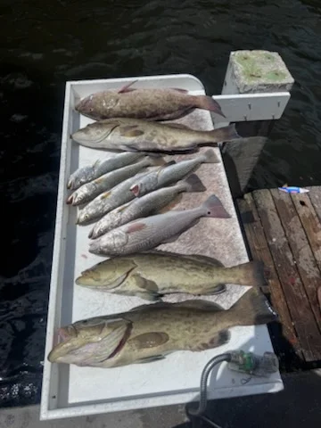 Fishing in Bradenton, Florida