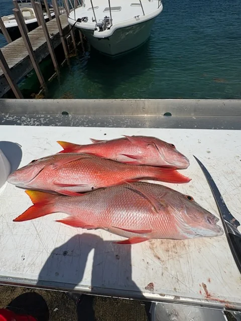 Fishing in Riviera Beach, Florida