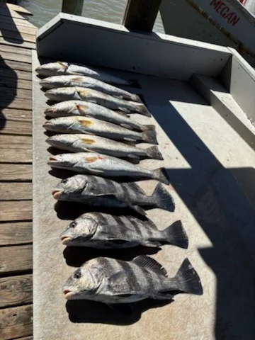 Fishing in Galveston, Texas