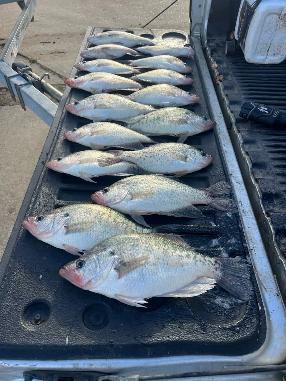 Fishing in Gore Springs, Mississippi