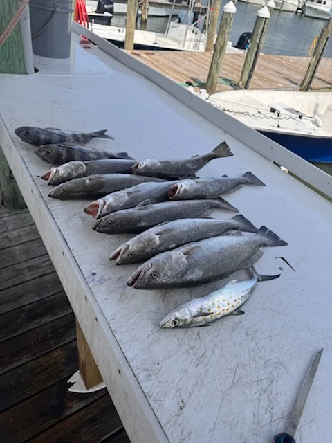 Fishing in Gulf Shores, Alabama