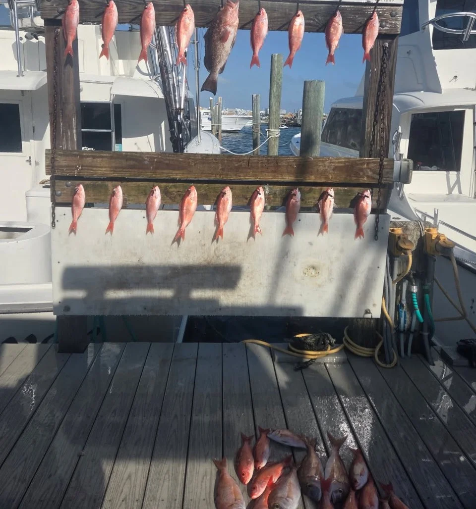 Fishing in Destin, Florida