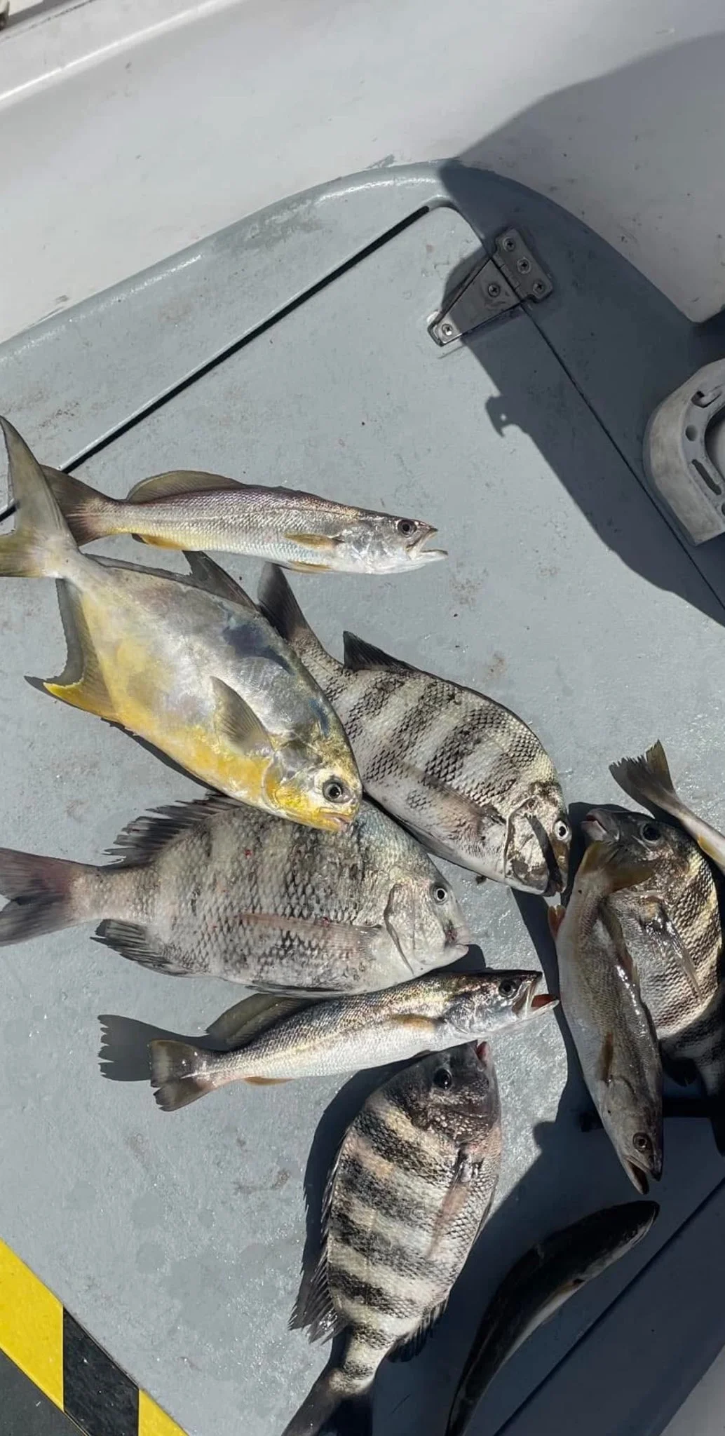 Fishing in Port Orange, Florida