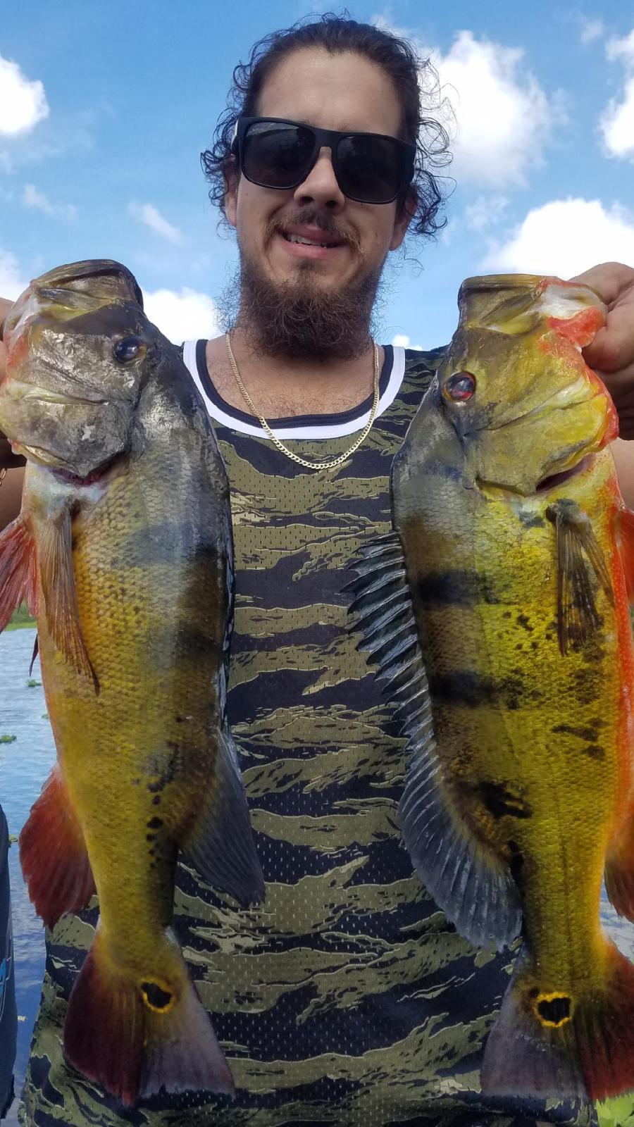 Peacock Bass fishing in Fort Lauderdale, Florida