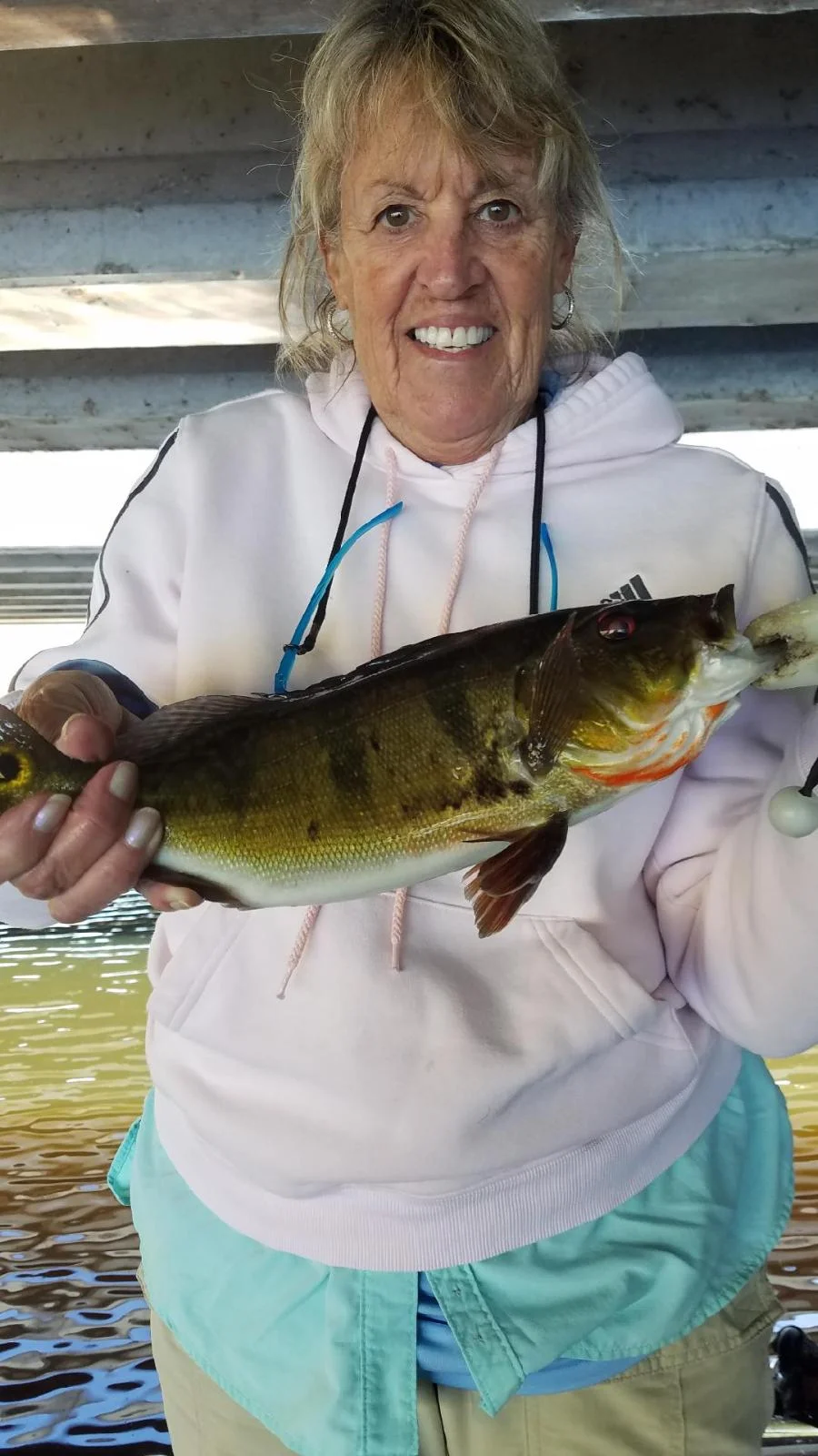 Largemouth Bass Fishing in Fort Lauderdale, Florida