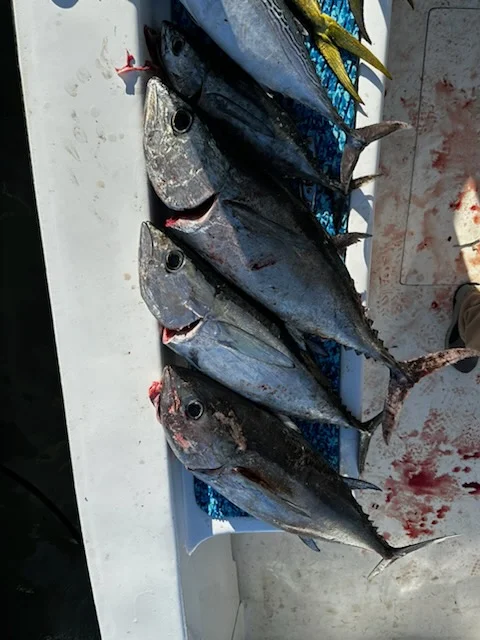 Fishing in Arcadia, Florida