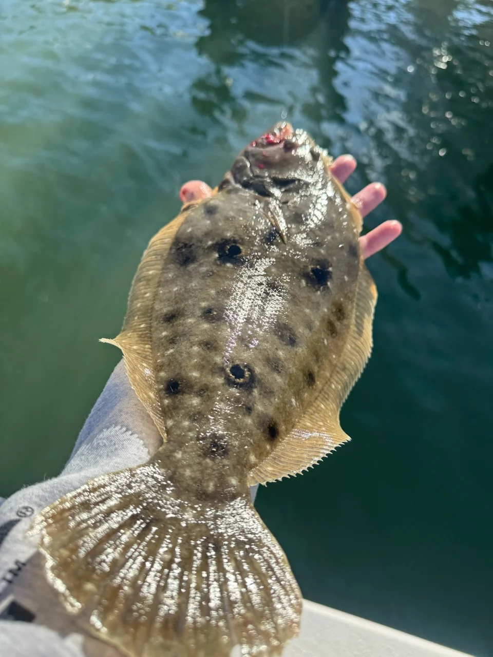 Fishing in Indian Rocks Beach, Florida